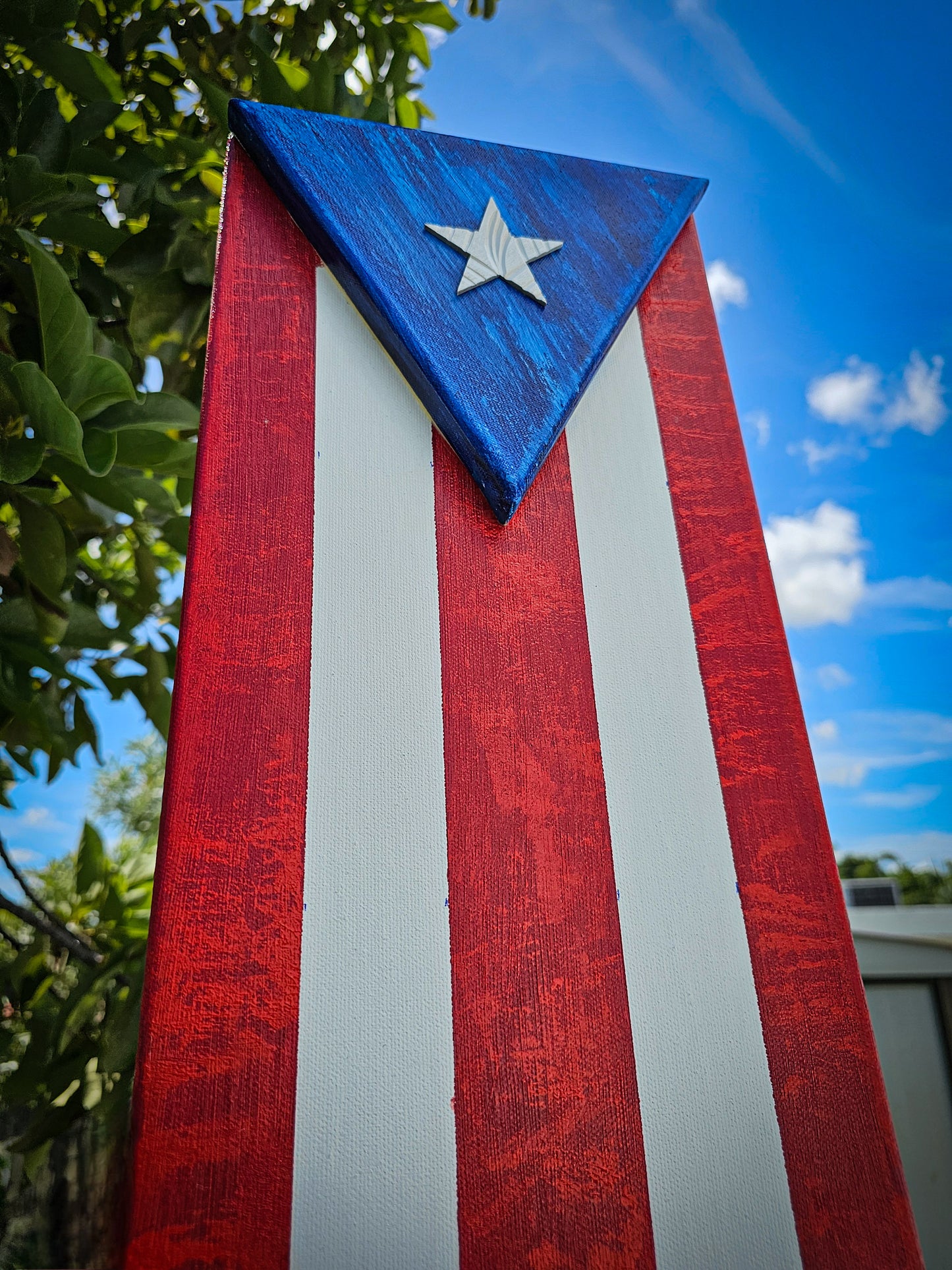 Bandera realizada en Canva (Lienzo)